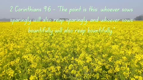 The Bible's promises of Abundant life!