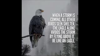 Be like an eagle