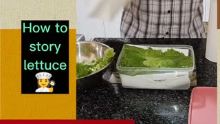 how to store lettuce correctly