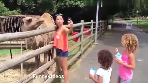 Animals vs Hot girls -Funny Animals vs Humans video Compilation