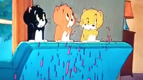 Funny Cats 2021 (Tom and Jerry) Episode 1