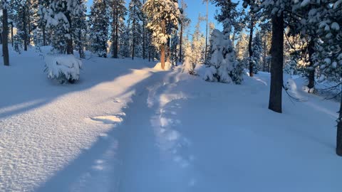Avoid Snowshoes if Logistically Possible & Safe – Central Oregon – Swampy Lakes Sno-Park – 4K