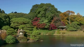 10 Best Places To Visit in Japan