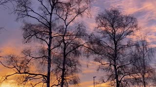 Beautiful Winter Sky