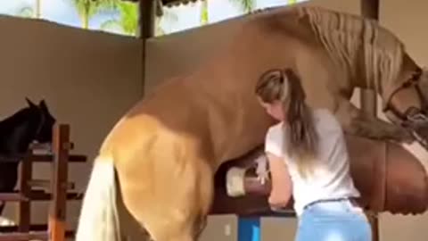 Hot lady preparing horse 🐎