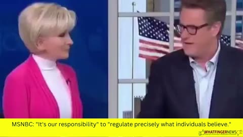 MSNBC: "It's our responsibility" to "regulate precisely what individuals believe."