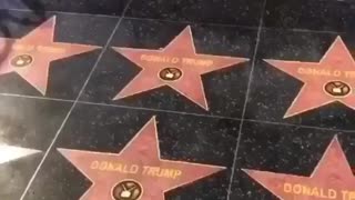 All Hollywood Walk of Fame Stars Around Pres. Trump Changed!