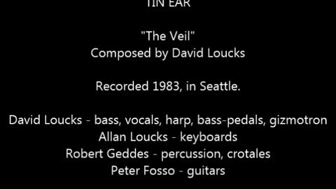 TIN EAR - "The Veil"