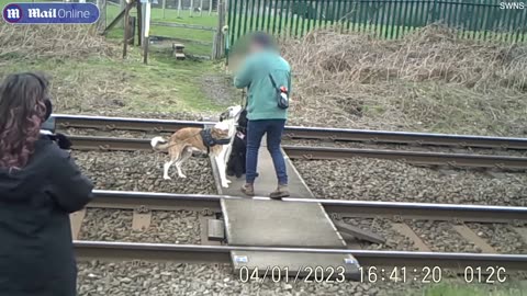 A train is coming': Little girl's terrifying realisation as they play on railway tracks