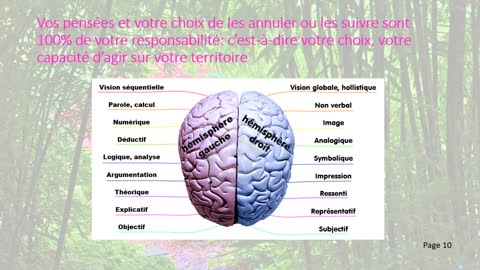 Neurosciences et lois universelles