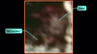 Patterson Gimlin Film - Possible Child Sasquatch In Motion Behind Patty