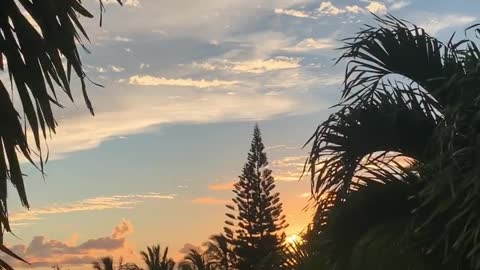 CLOUDS … whimsical, fun formation, some are whispy and some cotton candy kine