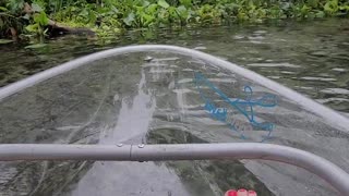Orlando kayaking