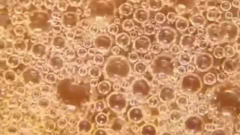 Ultra slow motion microscopic | #science #microscope #microscopic view #sciencefacts