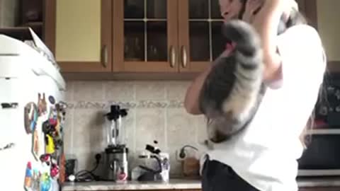cat jumps on handles