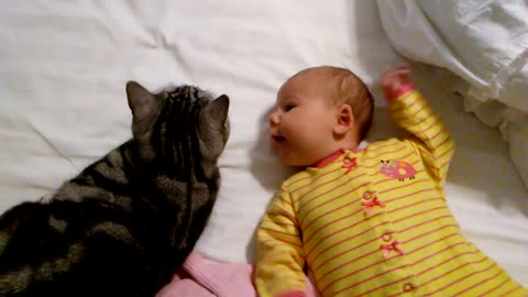 Baby Clara and Sierra the cat