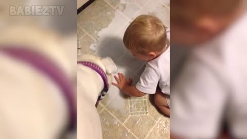 Adorable Babies Playing With Dogs and Cats - Funny Babies Compilation 2021