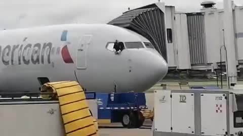 Passenger rushes cockpit of American Airlines plane