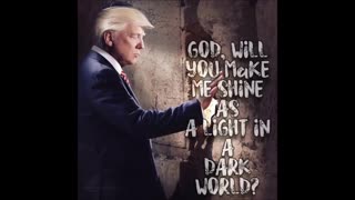 Trump is like a Light leading the way