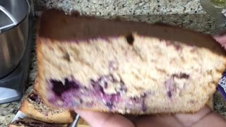 My Go Too Blueberry Cake Loaf