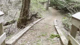 Crossing a Bridge + Be BEAR Aware – Timothy Lake – Mount Hood National Forest – Oregon – 4K