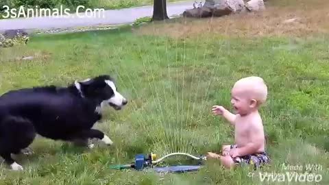 dogs and babies😂