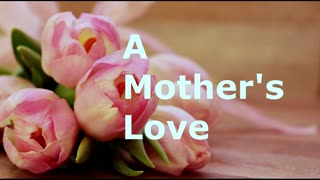 A Mother's Love | Robby Dickerson