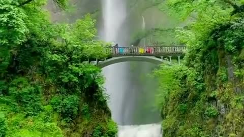 beautiful waterfall whatsapp status video/#shorts #waterfall #nature