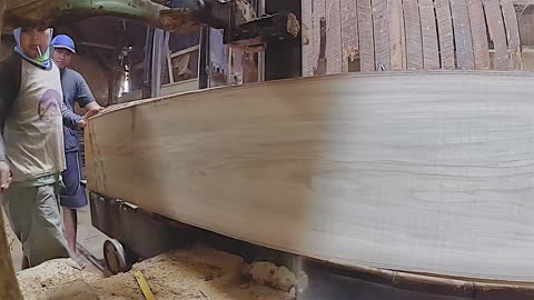 sawmill big log processing