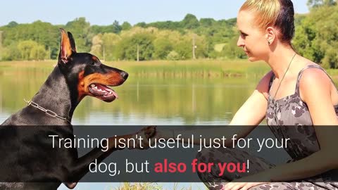 TOP 30-45 MINUTES DOG TRAINING SECRETS YOU SHOULD KNOW!