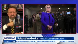 Liz Cheney is calling YOU a Nazi! Sebastian Gorka on Newsmax