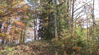 Sharkhunters Patrol to Ruins of the Reich at Berchtesgaden 18b