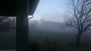 Front Yard Fog Bank