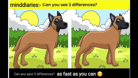 find the differences (Puzzle Game 04) minddiaries