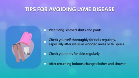 All about lyme disease