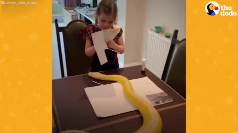 Cute Girl Has Tea Parties With Her 16-Foot Python