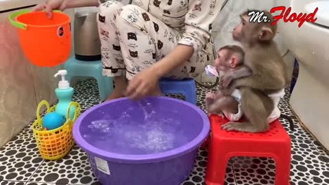 big monkey and baby monkey take a bath