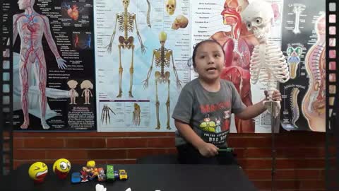El cuerpo humano para niños | El sistema Óseo | Las Costillas y La columna vertebral