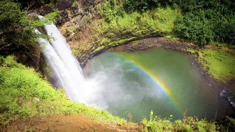 ARE YOU A NATURE LOVER? MUST WATCH THIS!