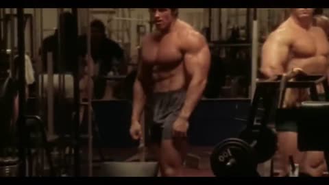 Arnold Schwarzenegger Bodybuilding Training Motivation - No Pain No Gain