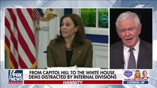 Gingrich: Kamala Harris is probably the worst VP in American history