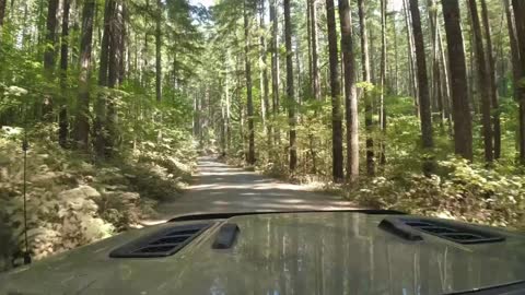 Big Lava Bed Trail, WA