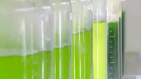 Energy 101 ¦ Algae-to-Fuels