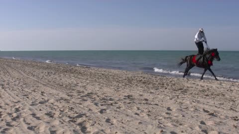 Horse racing on the beach.