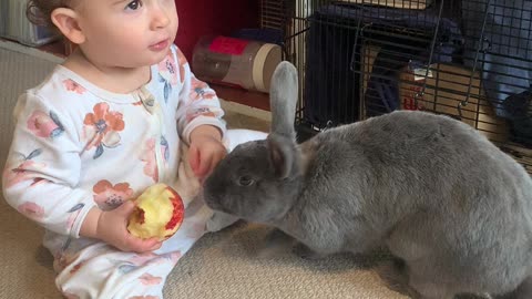 Rabbit Runs Away With Baby's Apple