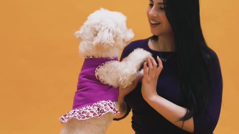 The woman is kissing a dog