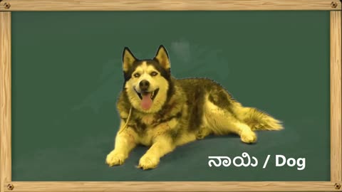 Animals in Kannada - Animal name sound in Kannada and English