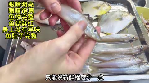 Teach you how to choose and process marine fish