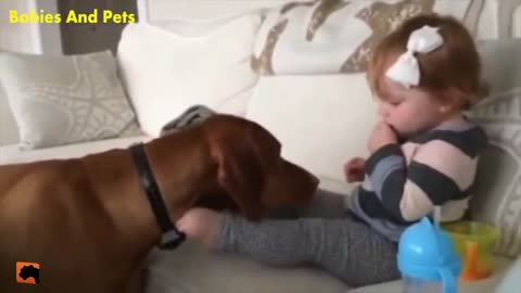 FUNNY BABY AND VIZSLA DOGS PLAYING TOGETHER CUTE BABY VIDEO