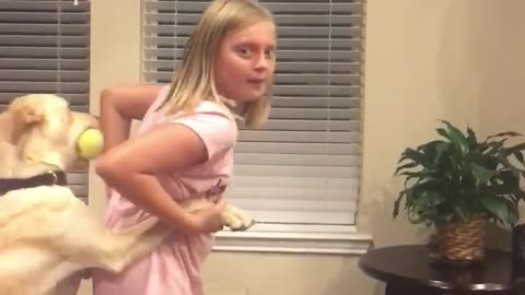 Hilarious playtime between little girl and doggy caught on camera